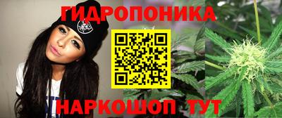apvp Бузулук