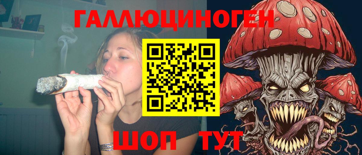 Псилоцибиновые грибы прущие грибы Кудымкар