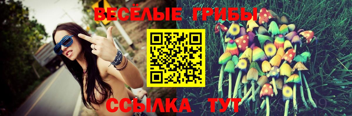 Кудымкар  Галлюциногенные грибы Psilocybe  Вход с VPN  цены   Галлюциногенные грибы мухоморы 