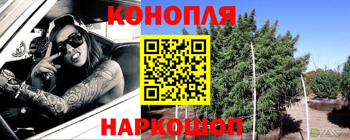 Канабис MAZAR  МАРИХУАНА OG Kush  Марихуана ГИДРОПОН  Кудымкар  Канабис сатива  Вход с VPN 